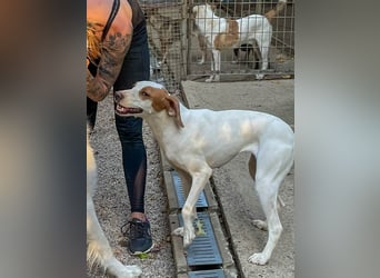Knutschkugel TAKITA sucht Menschen zum Kuscheln und Spielen! Wie wär's mit dir?