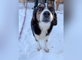 Gut gelaunte LOARA sucht Kuschelpartner fürs Leben