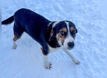 Gut gelaunte LOARA sucht Kuschelpartner fürs Leben