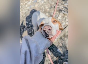 TAKITA lebensfroh, freundlich, für jeden Spaß zu haben