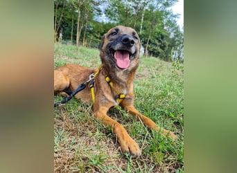 lustige NISHA wartet in 91052 Erlangen auf Dich 