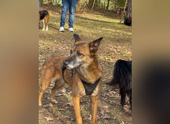lernwillige NISHA wartet bereits in 91052 Erlangen auf ihre Herzensmenschen !