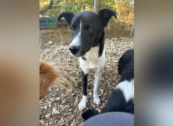 Charmante CHANTAL ist noch etwas zurückhaltend