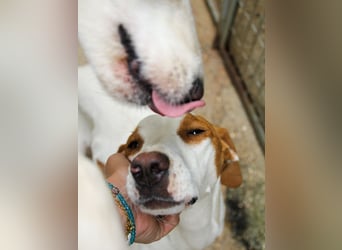 TAKITA - lebensfroh, freundlich, für jeden Spaß zu haben