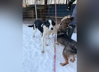 Lebensfroher AURELIO bezaubert durch seine fröhliche und liebe Art