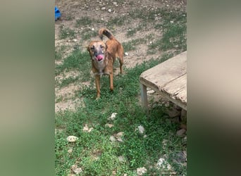 lustige NISHA wartet in 91052 Erlangen auf Dich 