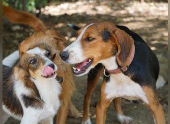 wunderschöne OFELIA, friedlich, liebevoll & ruhig