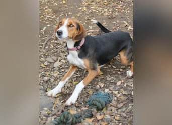 wunderschöne OFELIA, friedlich, liebevoll & ruhig