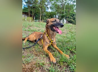 lustige NISHA wartet in 91052 Erlangen auf Dich 