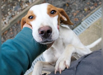 TAKITA - lebensfroh, freundlich, für jeden Spaß zu haben