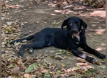 Black Beauty TEENA will mit dir ins richtige Leben starten!