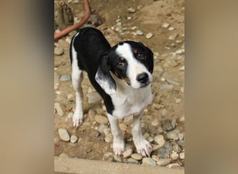 Lebensfroher AURELIO bezaubert durch seine fröhliche und liebe Art