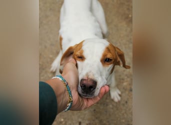 TAKITA - lebensfroh, freundlich, für jeden Spaß zu haben