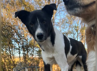 Charmante CHANTAL ist noch etwas zurückhaltend