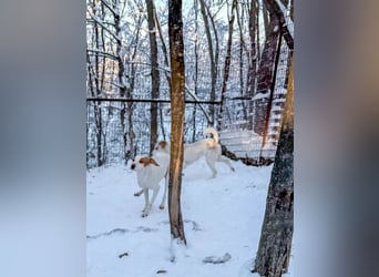 TAKITA - lebensfroh, freundlich, für jeden Spaß zu haben