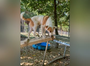 Halli-Hallo, ich bin der zuckersüße ANTONIO und suche ein liebevolles Zuhause