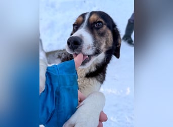 Gut gelaunte LOARA sucht Kuschelpartner fürs Leben