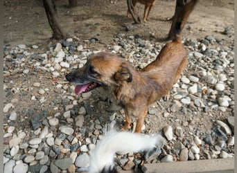 lustige NISHA wartet in 91052 Erlangen auf Dich 