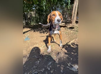 wunderschöne OFELIA, friedlich, liebevoll & ruhig