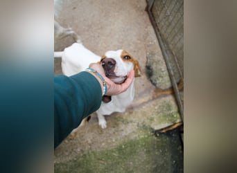 TAKITA - lebensfroh, freundlich, für jeden Spaß zu haben