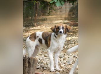 wunderhübscher WILHELM braucht DICH zum "Weiterwachsen"