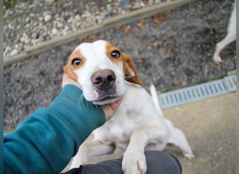 TAKITA - lebensfroh, freundlich, für jeden Spaß zu haben