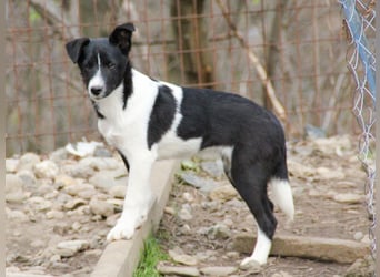 Charmante CHANTAL ist noch etwas zurückhaltend