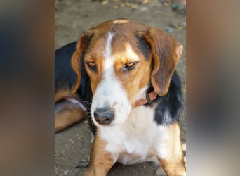 wunderschöne OFELIA, friedlich, liebevoll & ruhig