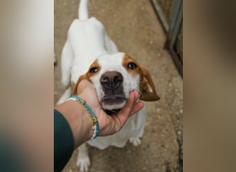 TAKITA - lebensfroh, freundlich, für jeden Spaß zu haben