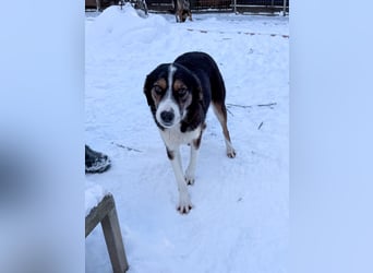 Gut gelaunte LOARA sucht Kuschelpartner fürs Leben