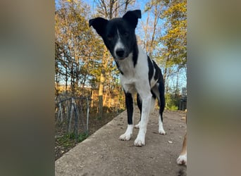 Charmante CHANTAL ist noch etwas zurückhaltend