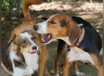 wunderschöne OFELIA, friedlich, liebevoll & ruhig