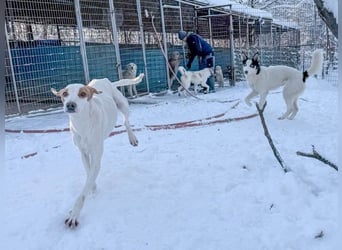 TAKITA lebensfroh, freundlich, für jeden Spaß zu haben