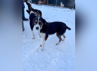 Gut gelaunte LOARA sucht Kuschelpartner fürs Leben