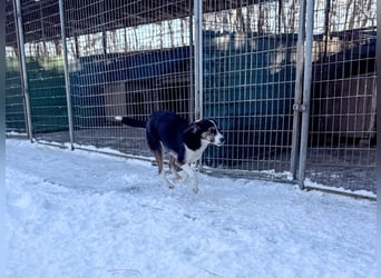 Gut gelaunte LOARA sucht Kuschelpartner fürs Leben