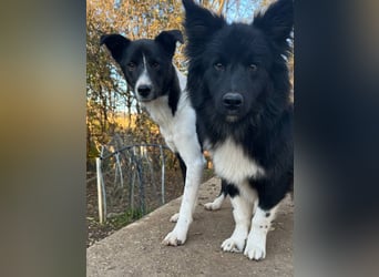 Charmante CHANTAL ist noch etwas zurückhaltend