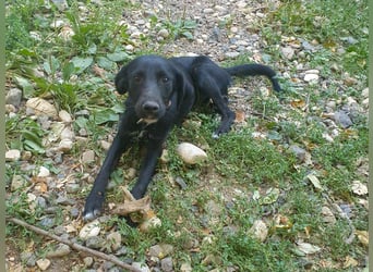 Black Beauty TEENA will mit dir ins richtige Leben starten!