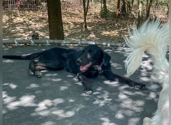 Black Beauty TEENA will mit dir ins richtige Leben starten!