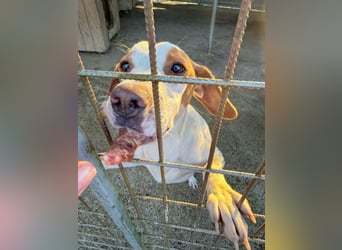 TAKITA - lebensfroh, freundlich, für jeden Spaß zu haben