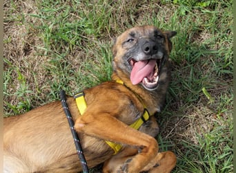 lustige NISHA wartet in 91052 Erlangen auf Dich 