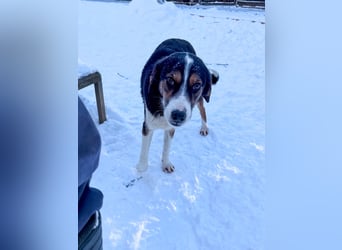 Gut gelaunte LOARA sucht Kuschelpartner fürs Leben