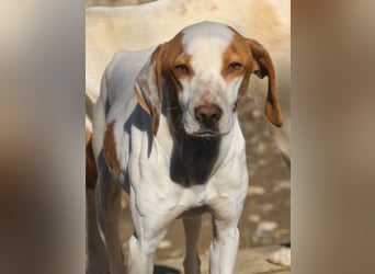 TAKITA will endlich Abenteuer mit ihren ganz eigenen Menschen erleben. Vierlleicht mit dir?