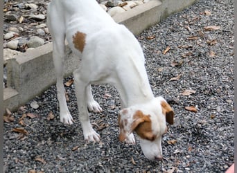 TAKITA - lebensfroh, freundlich, für jeden Spaß zu haben