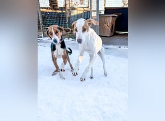 TAKITA lebensfroh, freundlich, für jeden Spaß zu haben