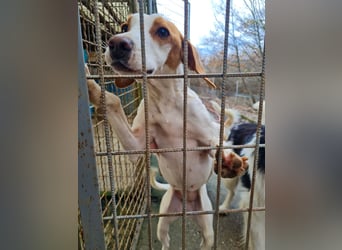 TAKITA - lebensfroh, freundlich, für jeden Spaß zu haben