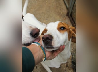 TAKITA, aufgeweckte, freundliche Fellnase sucht aktive Kuschelmenschen