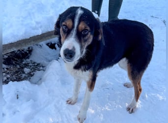 Gut gelaunte LOARA sucht Kuschelpartner fürs Leben