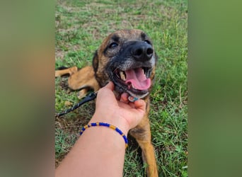 lustige NISHA wartet in 91052 Erlangen auf Dich 