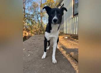 Charmante CHANTAL ist noch etwas zurückhaltend