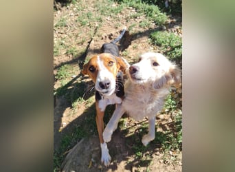 wunderschöne OFELIA, friedlich, liebevoll & ruhig